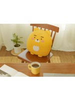 Kakao Friends - Ryan 涼爽靠墊